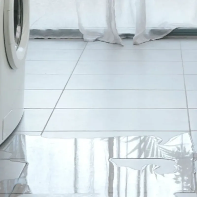 Appliance Leak Cleanup in Gratiot County, MI