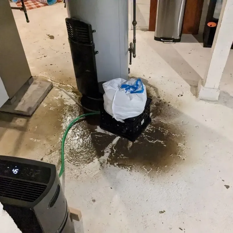 Sewage Backup Cleanup Service in Gratiot County, MI